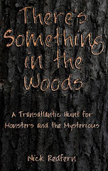There's Something in the Woods, Never-Used Artwork, 2008: