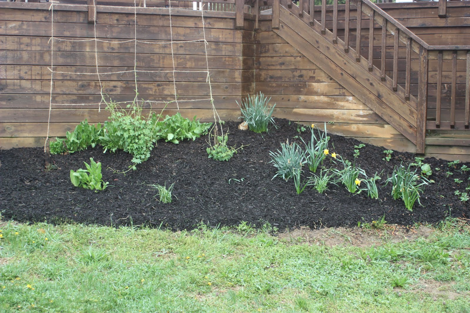 Our Victory Garden Mulch Madness
