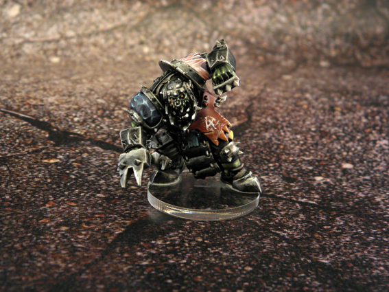 [Image: P1010054.JPG]