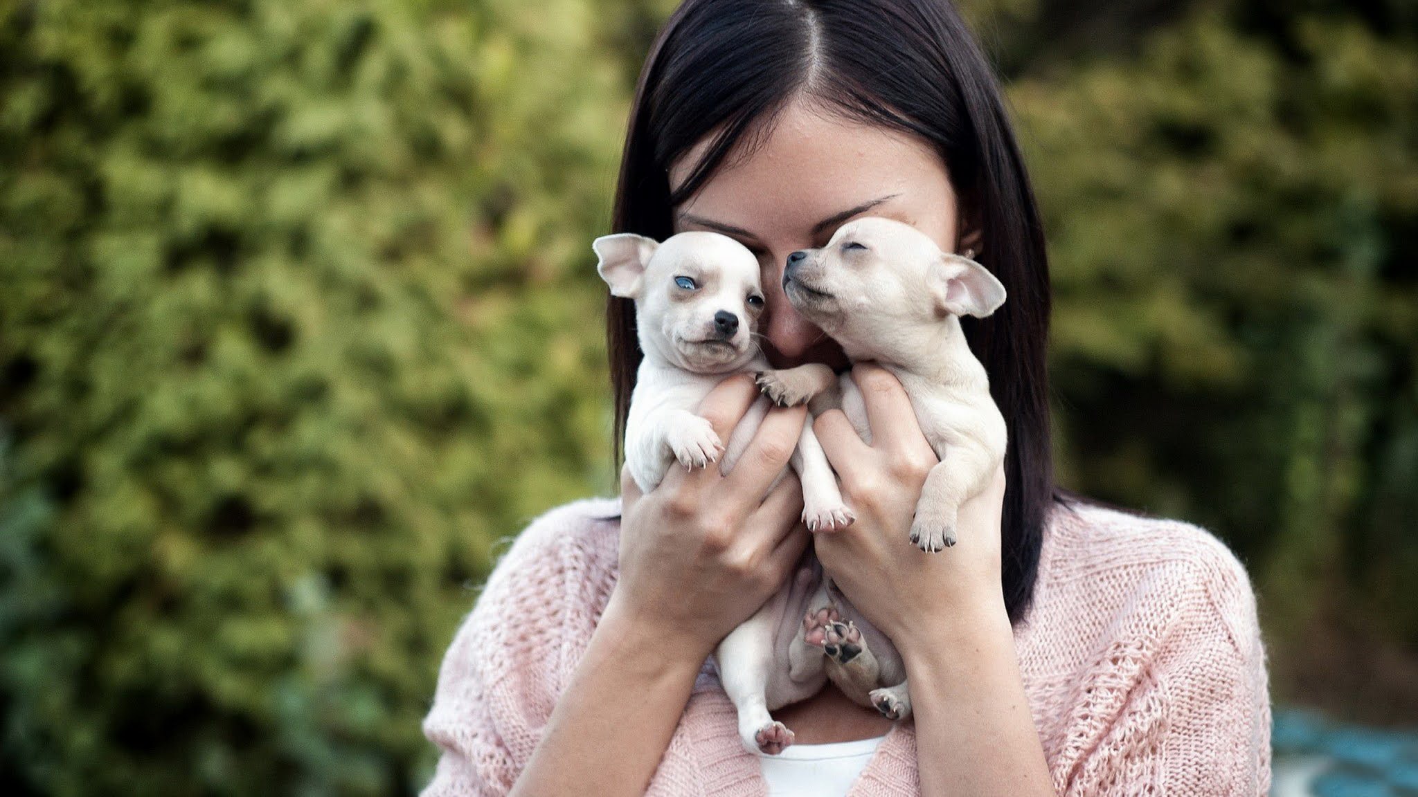 любовь к животным. фотосессия с собакой на природе. фотосессия с лошадью летом. женщина с собачкой. видео девушек с животными.