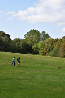 A couple walking their dog down a hill in Heaton Park