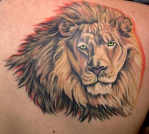  Gambar  Tattoo Gambar  Tattoo Singa 