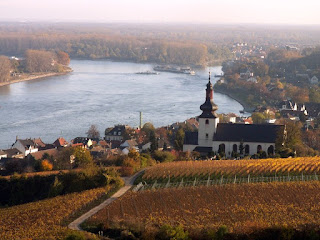 Vineyard in Nierstein, Rheinhessen by R. Dautermann