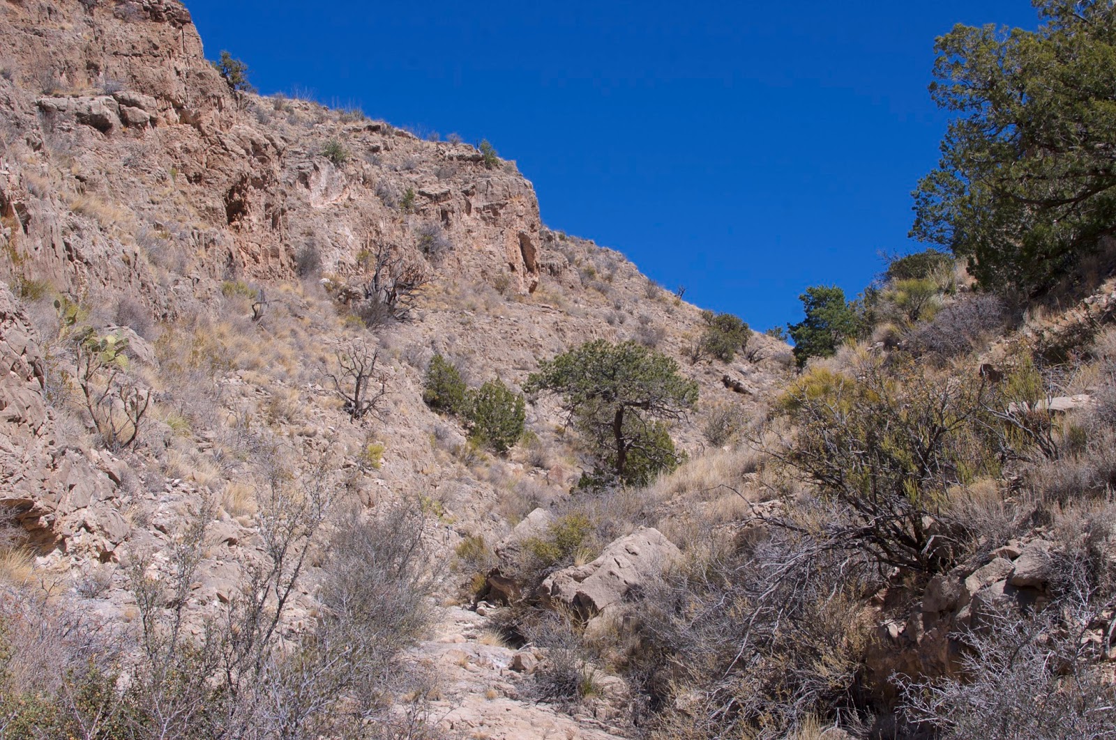 Southern New Mexico Explorer Cañoncito de la Uva Stallion Wilderness Study Area