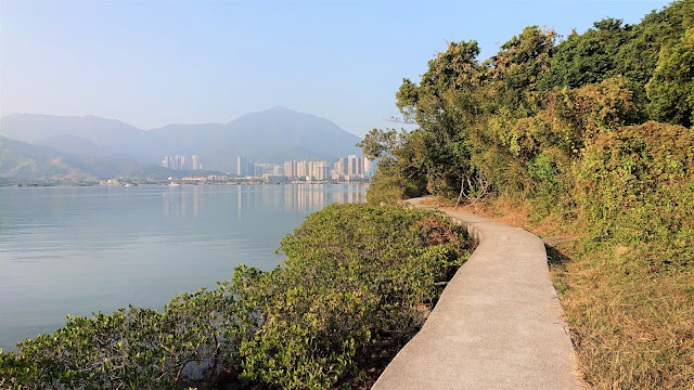 吊燈籠徑，鳳坑村至谷埔