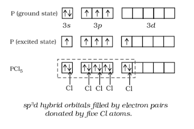 sp3d Hybridization