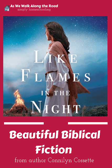 Biblical fiction review Biblical fiction review