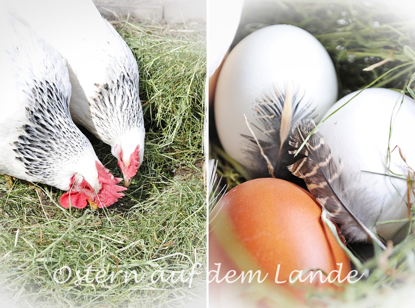 Wenn Box Als Geschenk Fur Meine Liebe Freundin Zur Geburt Ihrer Tochter