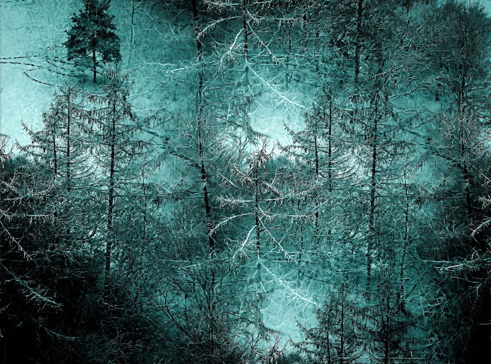 Nunc Hic Page 50 Chan 8720313 Rssing Com