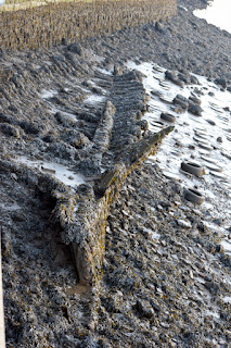 Remains of a boat on the shoreline