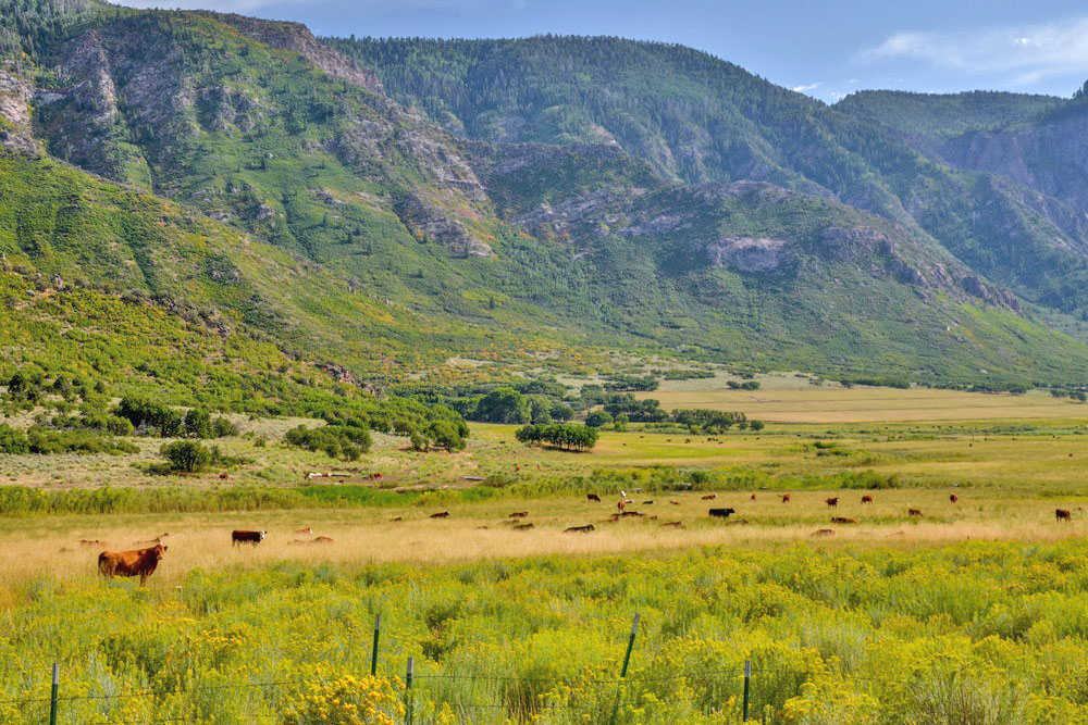 Unaweep Canyon