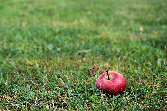 Raumfee Page 39 Chan 6647220 Rssing Com