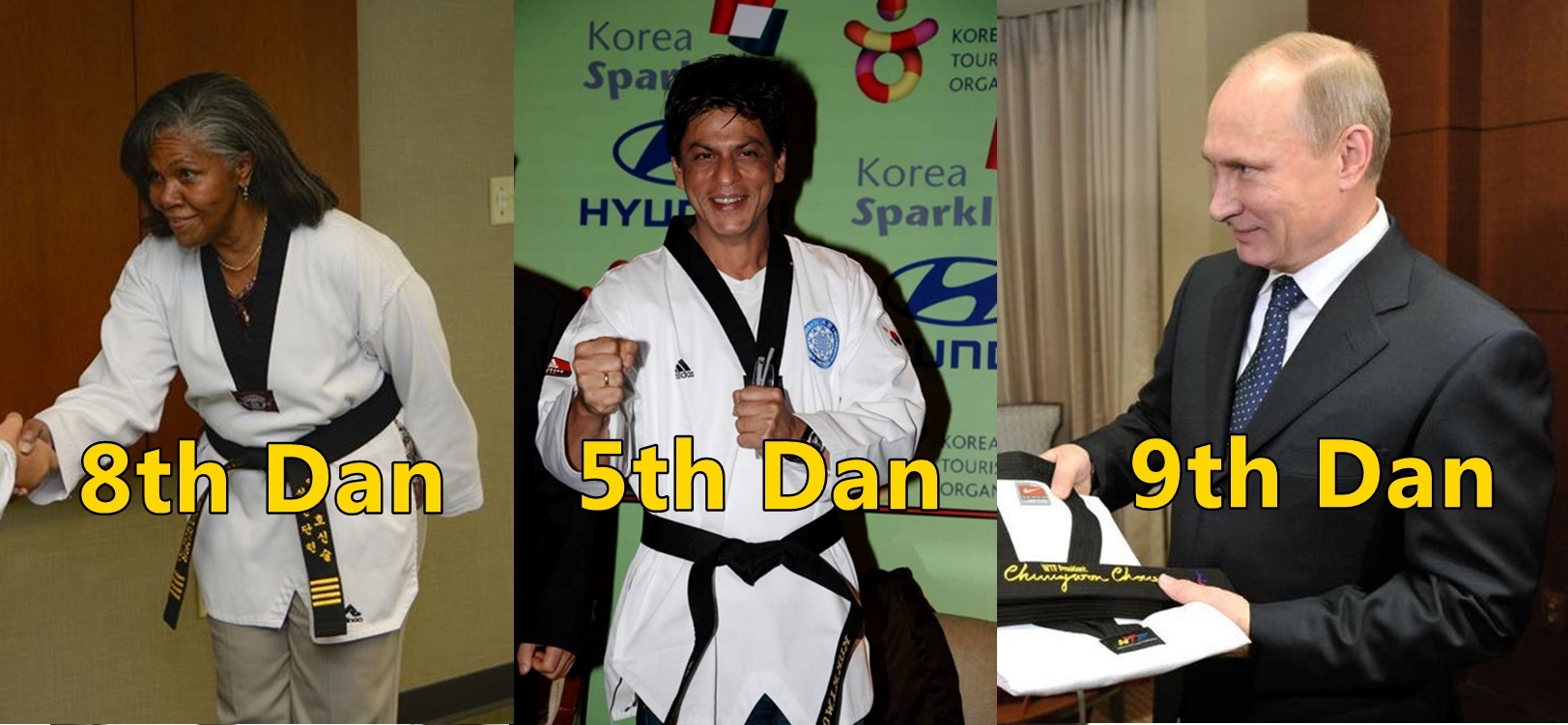 세계 태권도 가족: Personalities who got honorary black belts