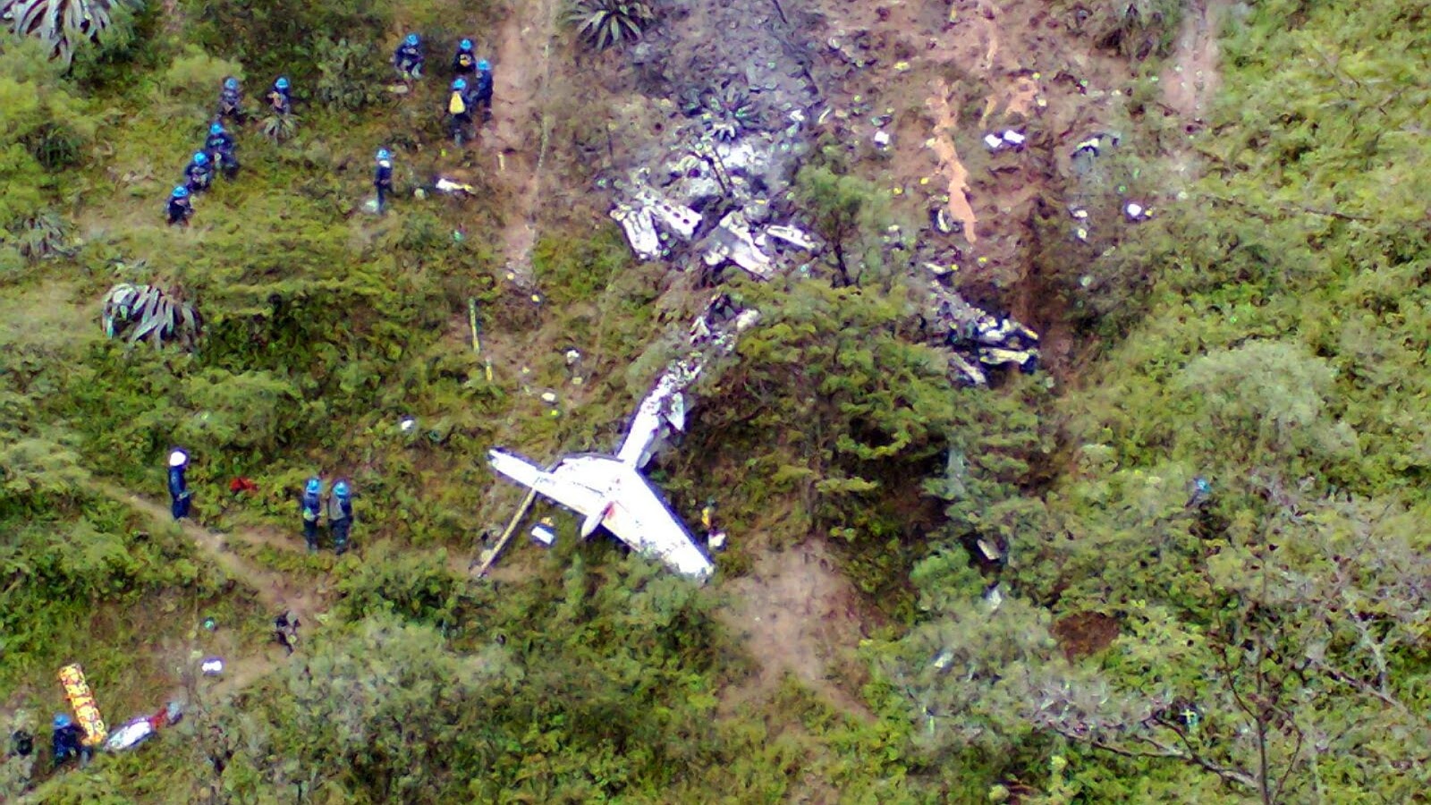 Джунгли для детей. Самолет упал в джунглях. Разбитый самолет в джунглях. Самолет упал в джунглях. Разбившийся самолет в джунглях.