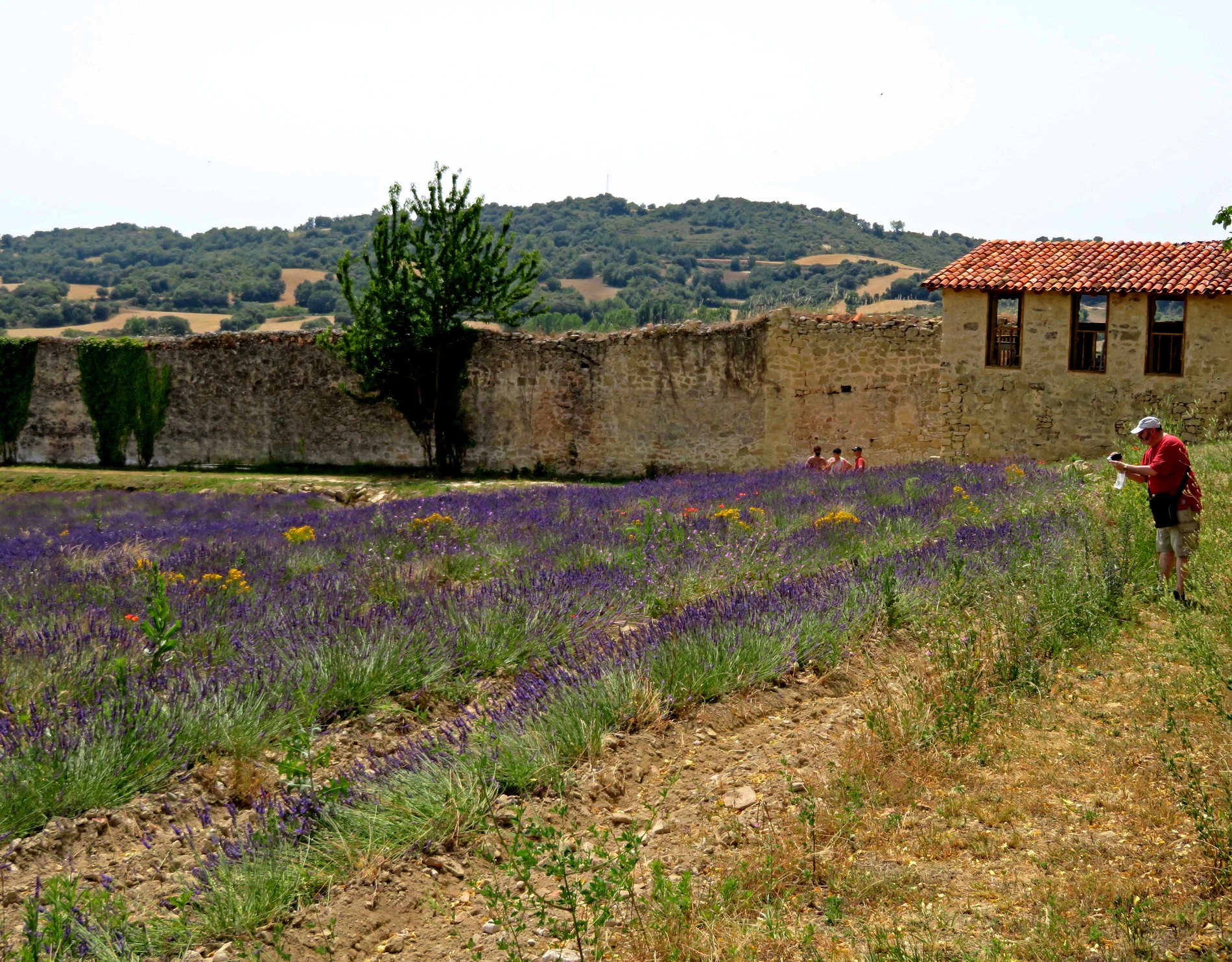 ZáLeZ El Granero de San Francisco (Santa Gadea del Cid).