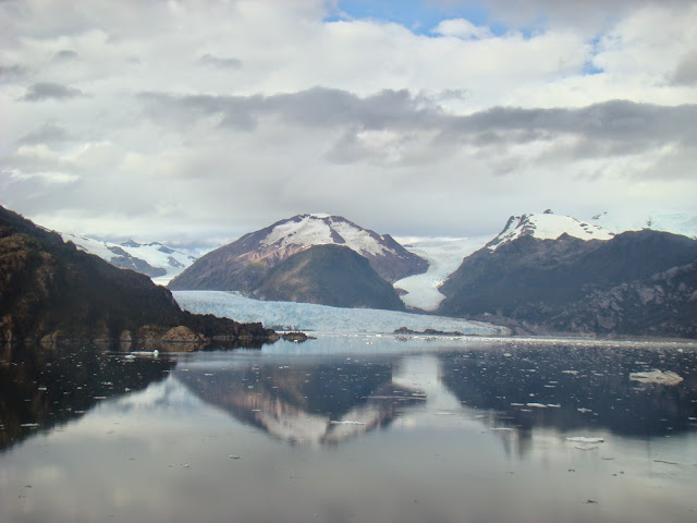 Glaciar Amalia Fiordos chilenos Que hacer, a donde ir, que visitar