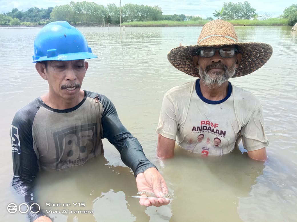 Genjot Produksi Udang Sulsel, KKP Ciptakan Vanamerator
