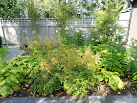 New Danforth backyard by garden muses-not another Toronto gardening blog