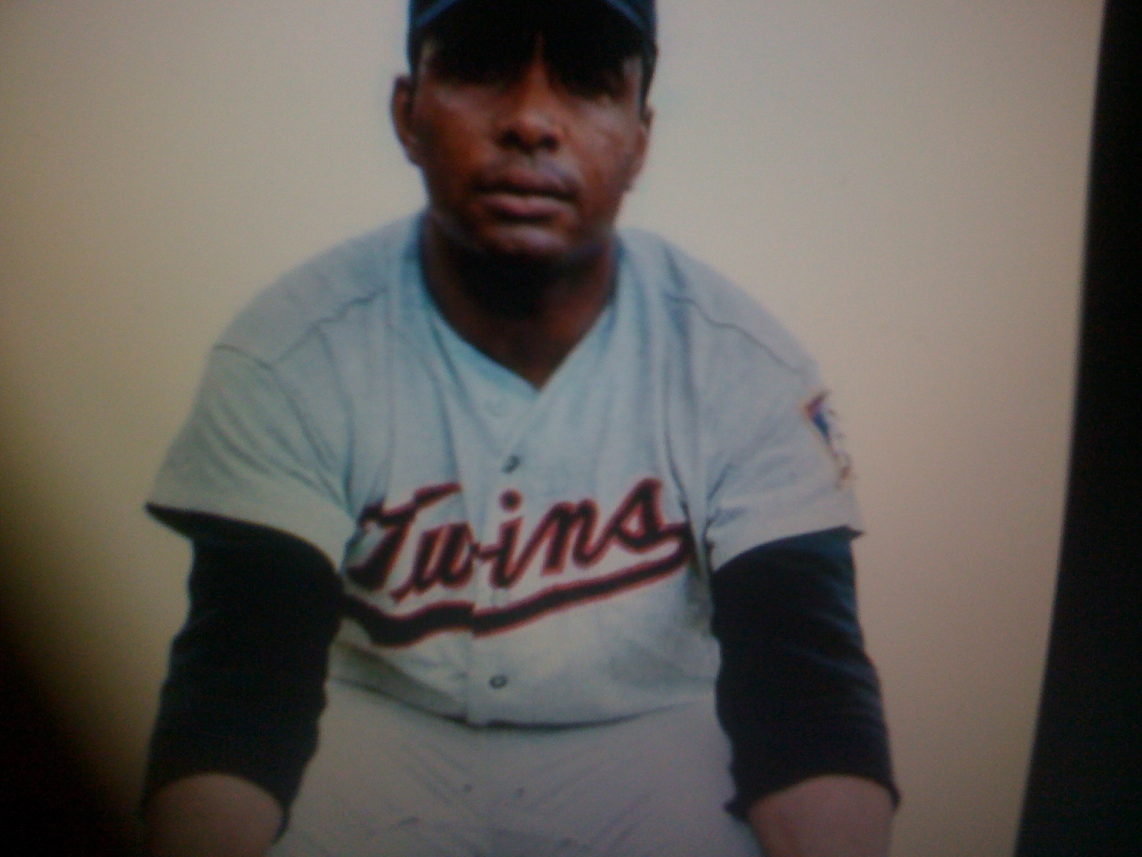 THE BLACK SOCIAL HISTORY BLACK SOCIAL HISTORY AFRICAN AMERICAN PROFESSIONAL BASEBALL PLAYER