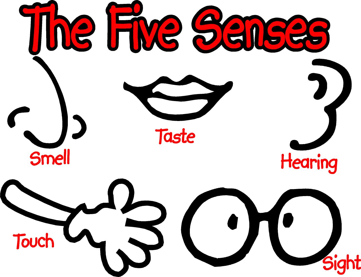 See hear feel. 5 Senses. Пять чувств на английском. Органы чувств. Органы чувств на английском языке.