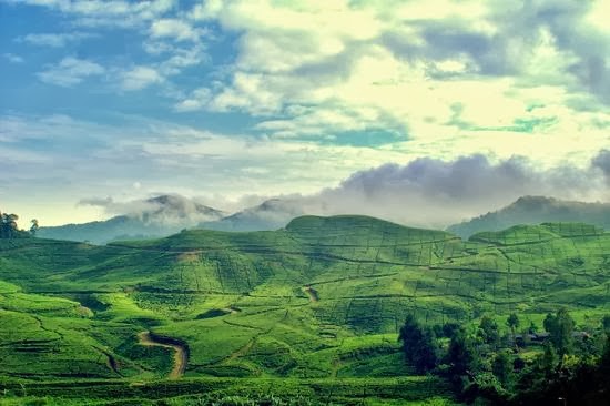 Tempat Wisata Di Puncak Bogor Jawa Barat Tempat Wisata Di Puncak Bogor Jawa Barat