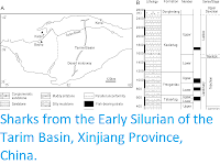https://sciencythoughts.blogspot.com/2020/07/sharks-from-early-silurian-of-tarim.html