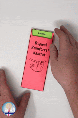 Tropical rainforest worksheets