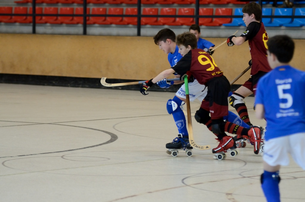 Quad Hockey Roller Hockey Trip