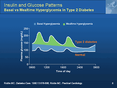 Blood Sugar Guide Complete: type 2 diabetes food allowed