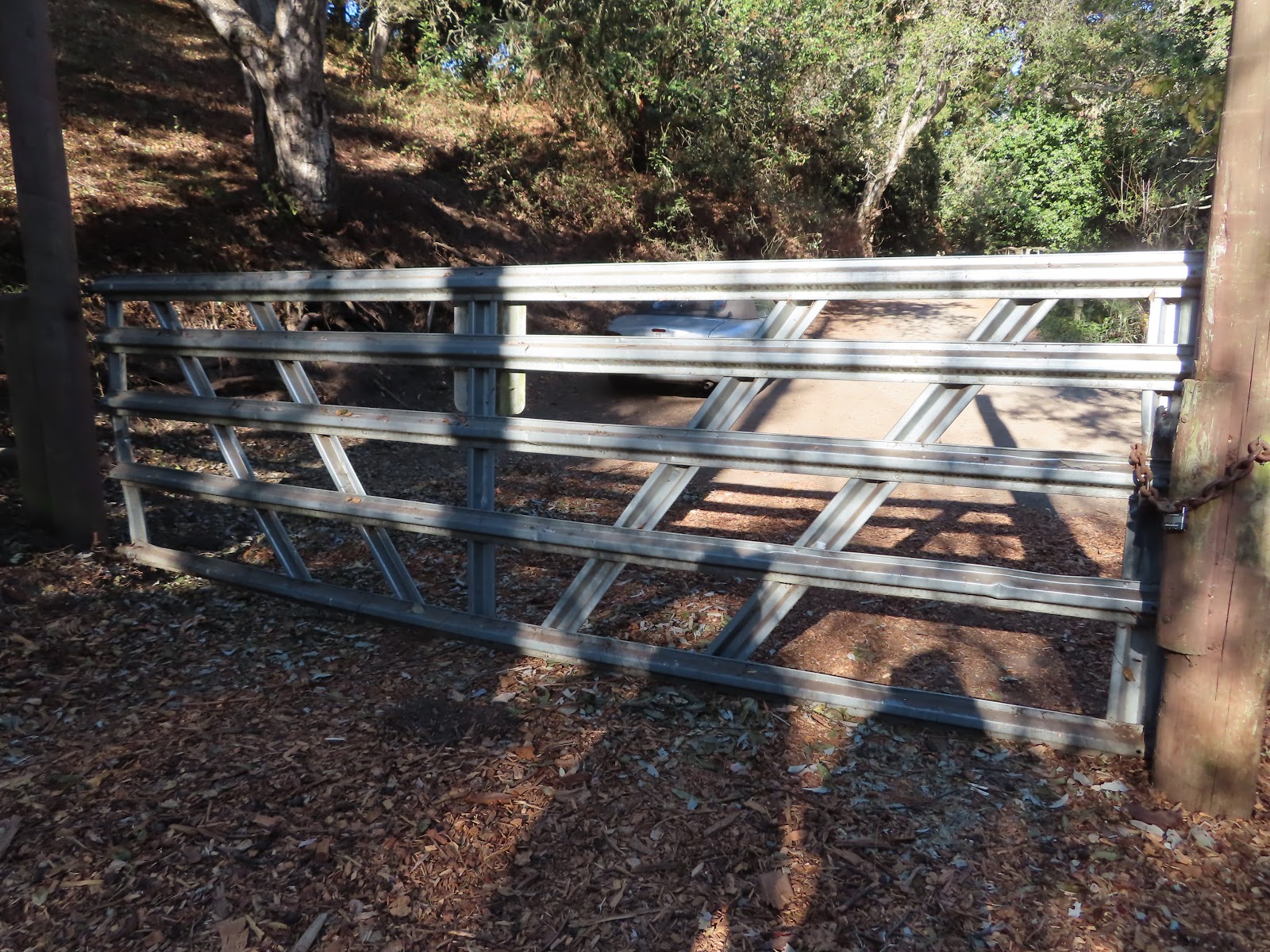Carmel by the Sea Mission Ranch, Mission Trails Park, Mission Basilica