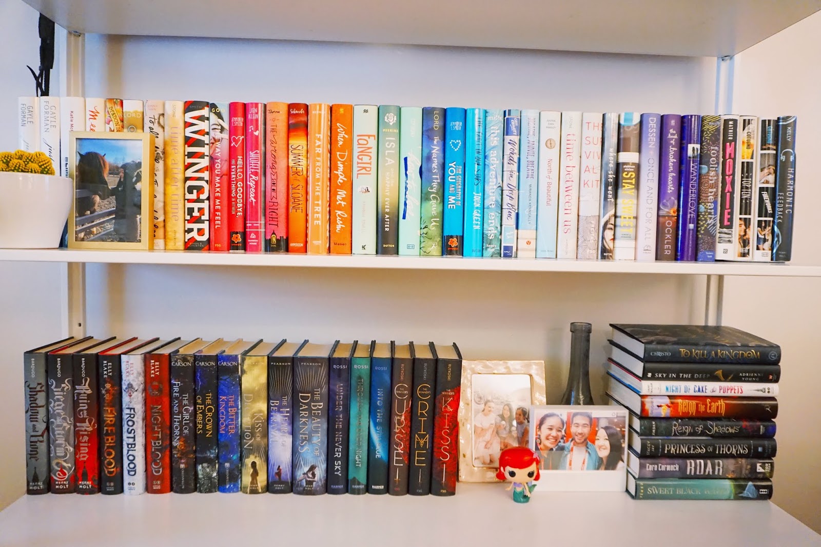 Bookshelf Tour Hello, Chelly