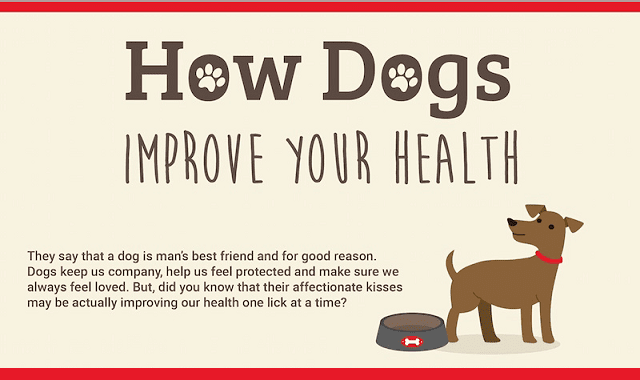 do dogs improve your health