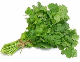 Diferencia entre Cilantro y Culantro