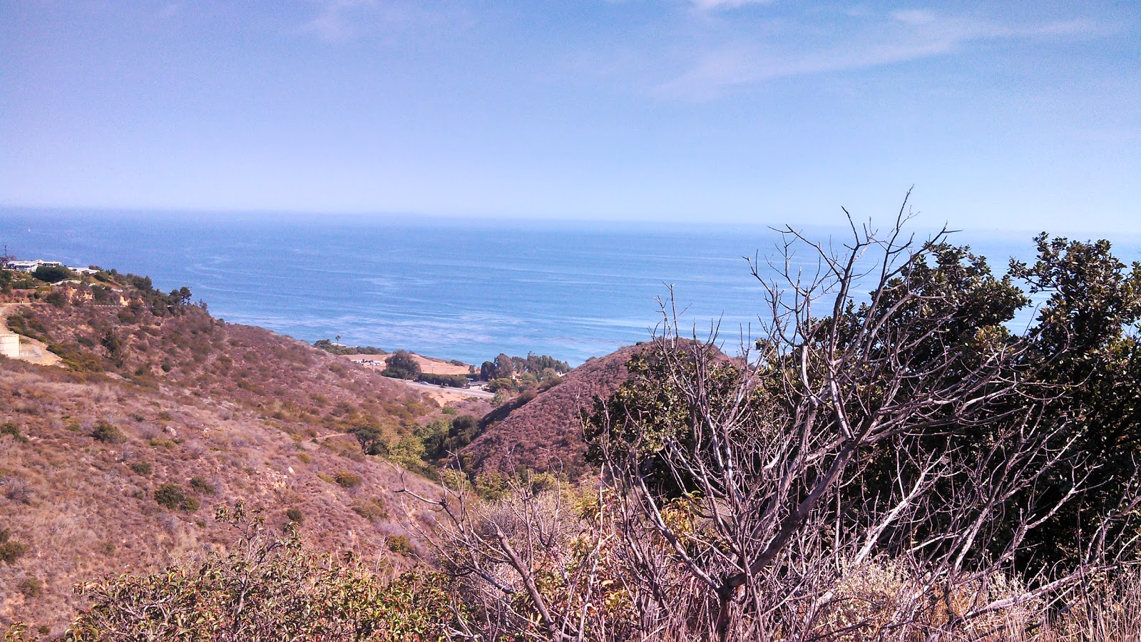 The Life and Times of Julian and Amanda Seal Beach Malibu Calabasas