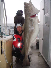 Big Cod Fish