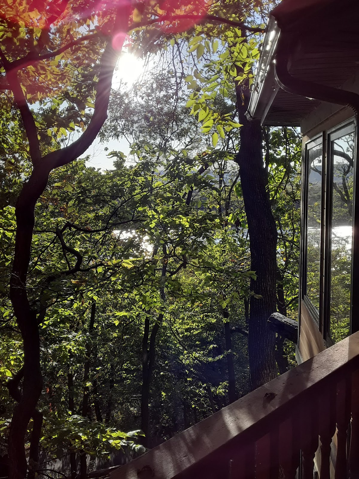 I Am Cutris Hawks View Cottages