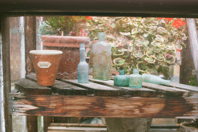 The Lost Gardens of Heligan