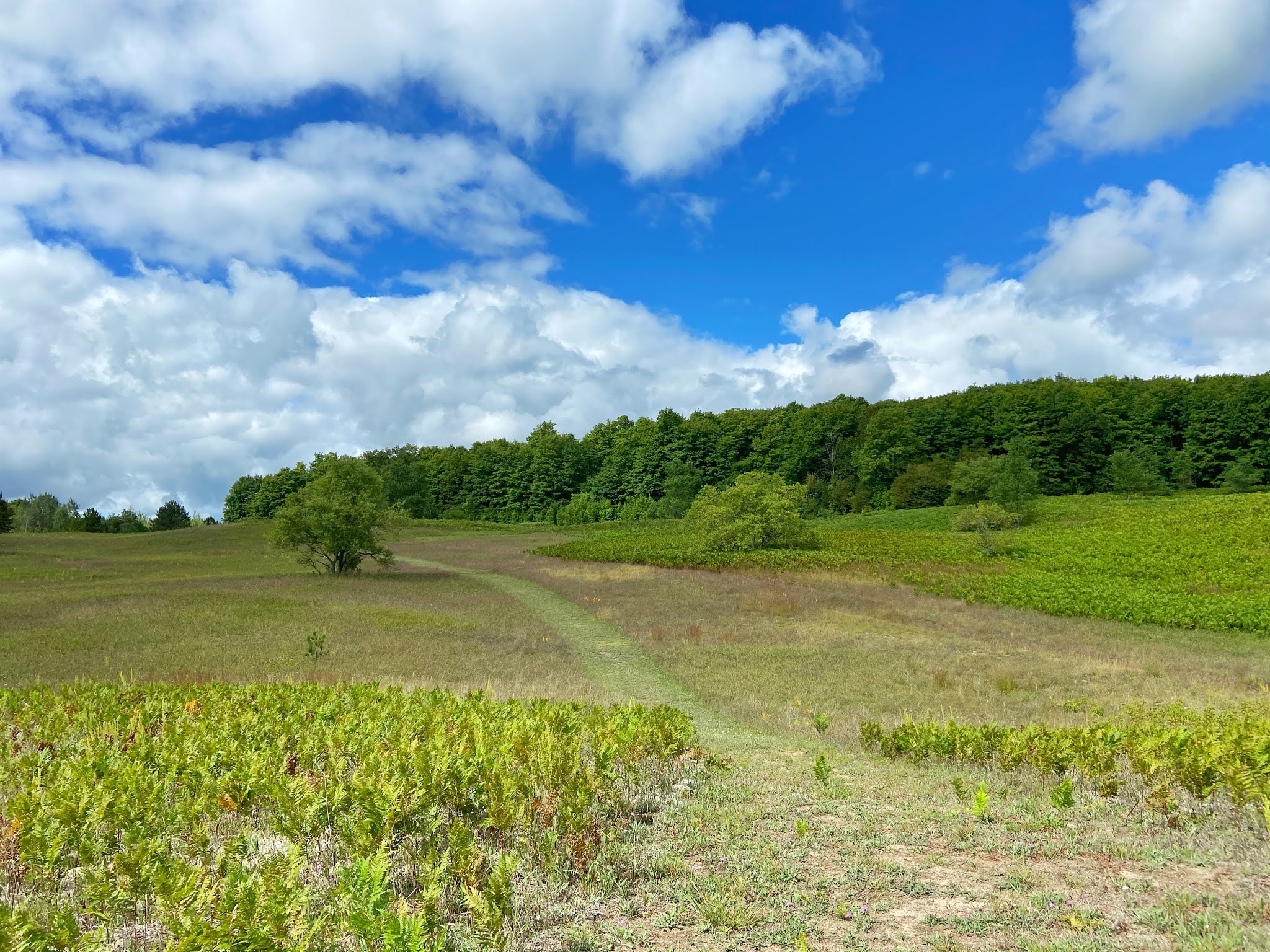 Travel Diaries Whispering Pines Campground in Mancelona