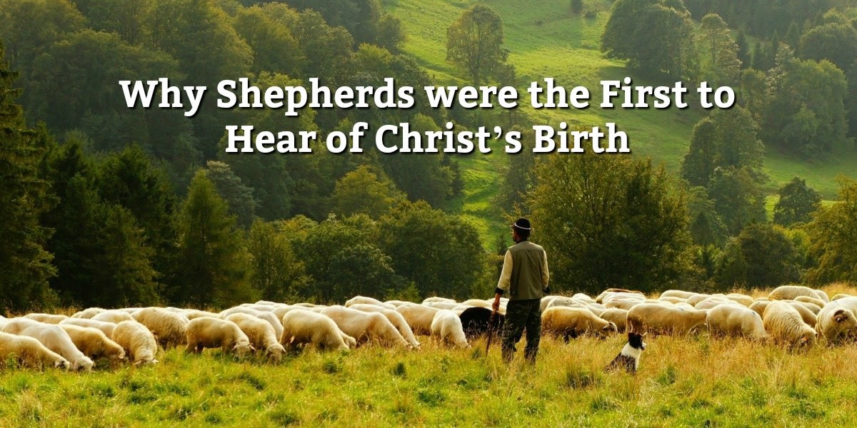 Bible Love Notes The Shepherd of the shepherds