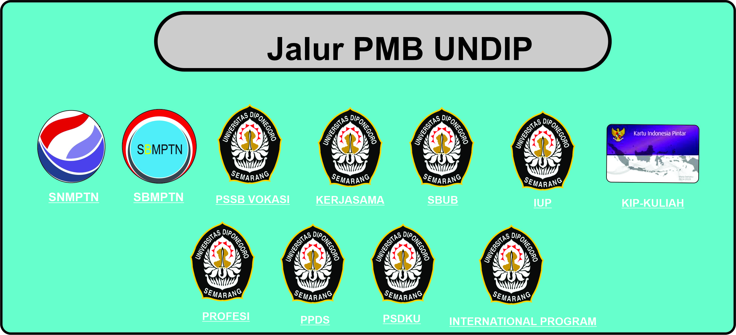 Pendaftar snmptn undip 2022