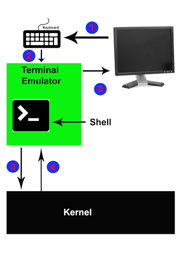 Basic of Shell | Shell Type | Shell Command Execution Process | Command ...