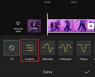 choose the custom curve type