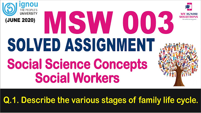 msw 003, msw
