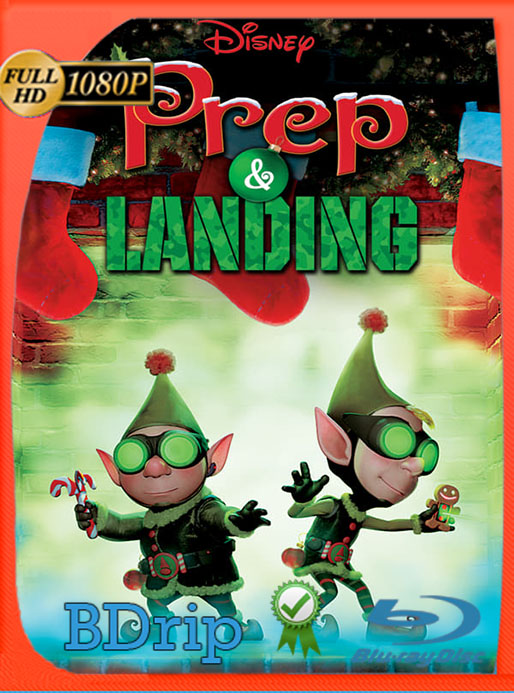 Lanny y Wayne: Los elfos navideños: Escuadron de Navidad (2009) 1080p BDRip Latino [GoogleDrive] [tomyly]