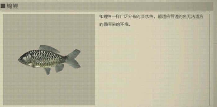 尼爾 自動人形 (NieR Automata) 魚類圖鑑與釣魚心得