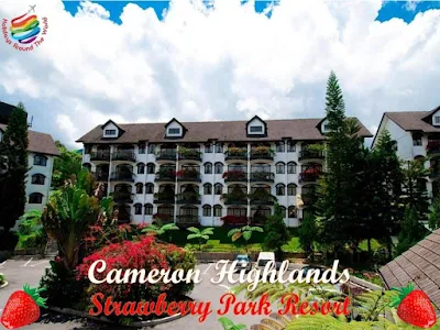 Cameron Highlands 4 Stars hotels