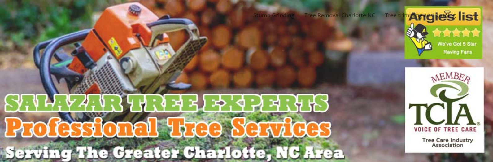 Tree Service Charlotte NC Affordable Great Reviews Salazar Tree