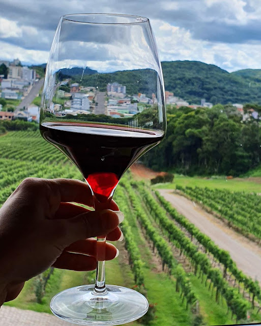 Blog Apaixonados por Viagens - Serra Gaúcha - Roteiro para curtir a Vindima Blog Apaixonados por Viagens - Serra Gaúcha - Roteiro para curtir a Vindima