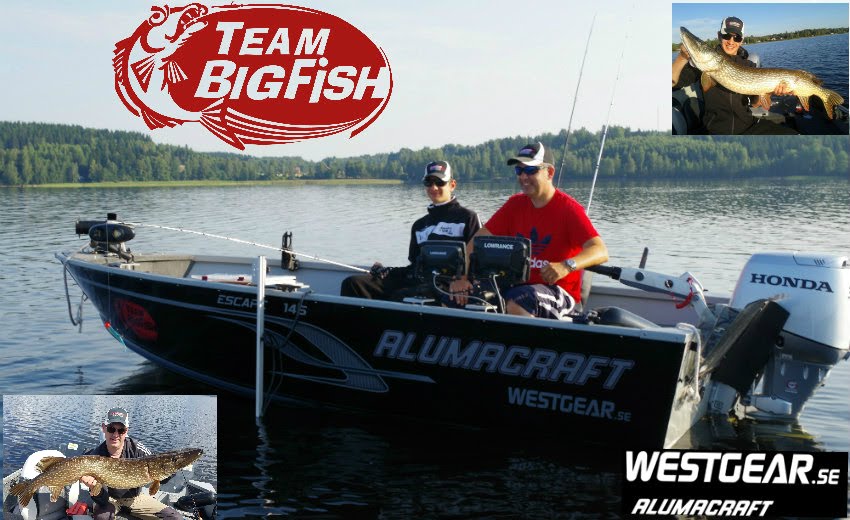 TEAM BigFish Fiskeblogg