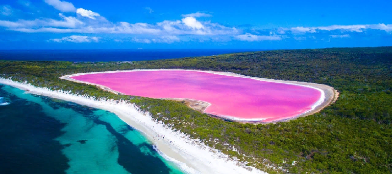 озеро хиллер австралия почему вода розовая